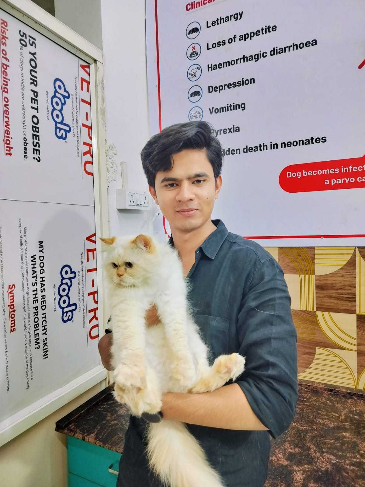 Cats patient 3