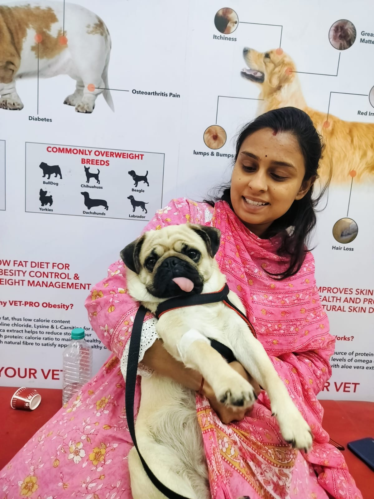 Dogs patient 3
